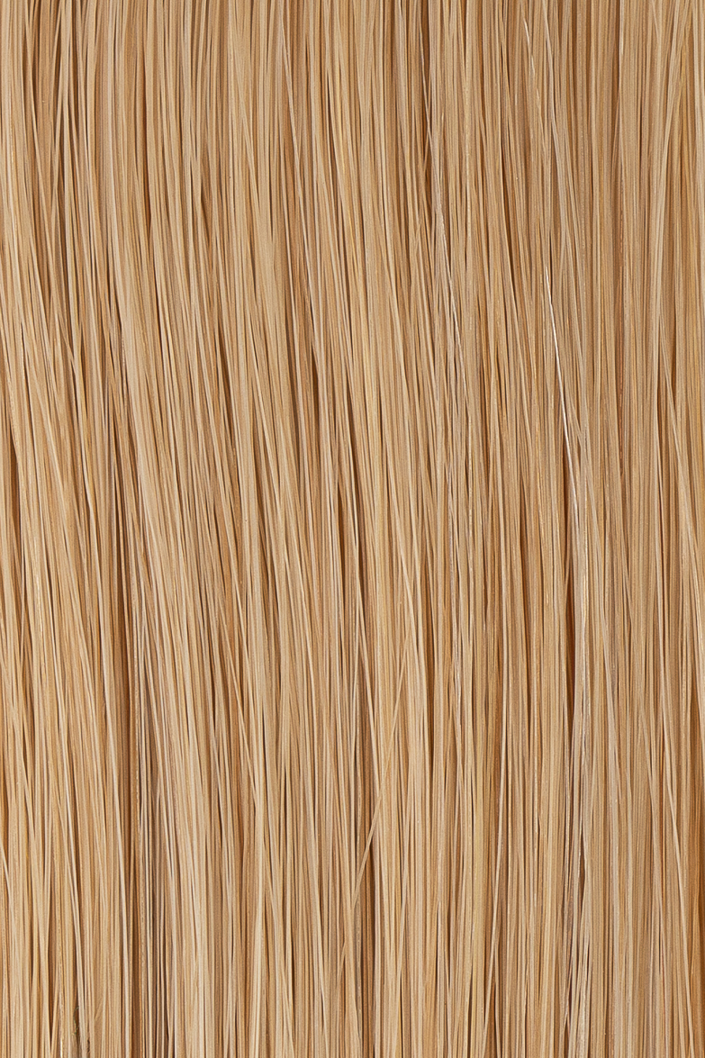 27 Honey Blonde hair colour — Macro