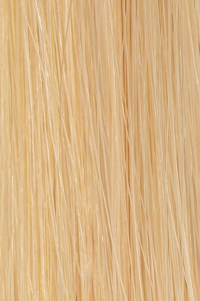 22 Beige Blonde hair colour — Macro
