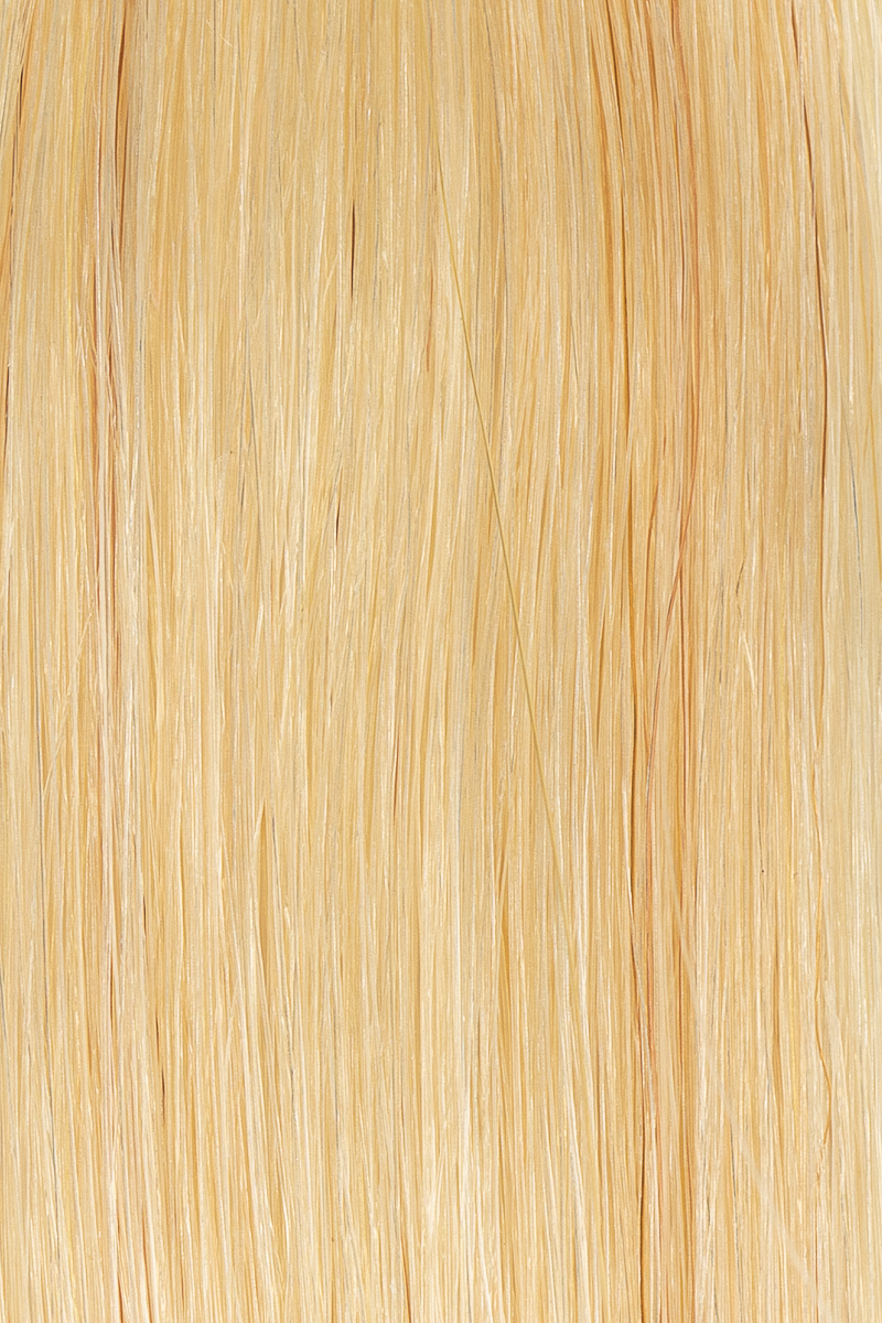 613 Light Blonde hair colour — Macro