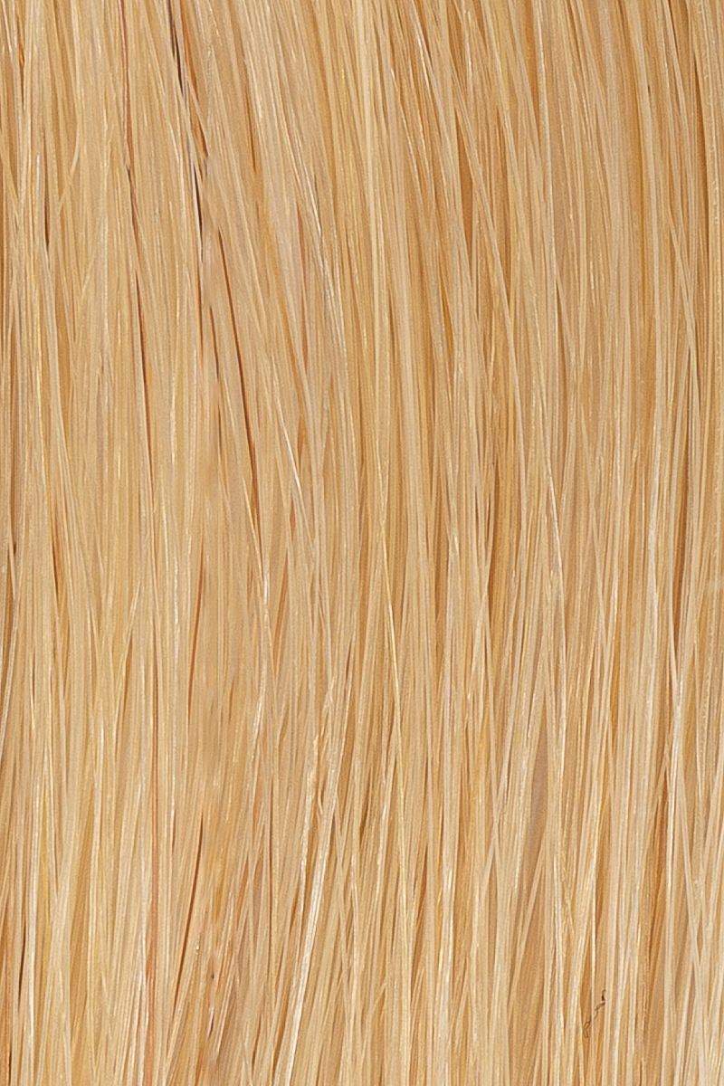 18 Warm Blonde hair colour — Macro